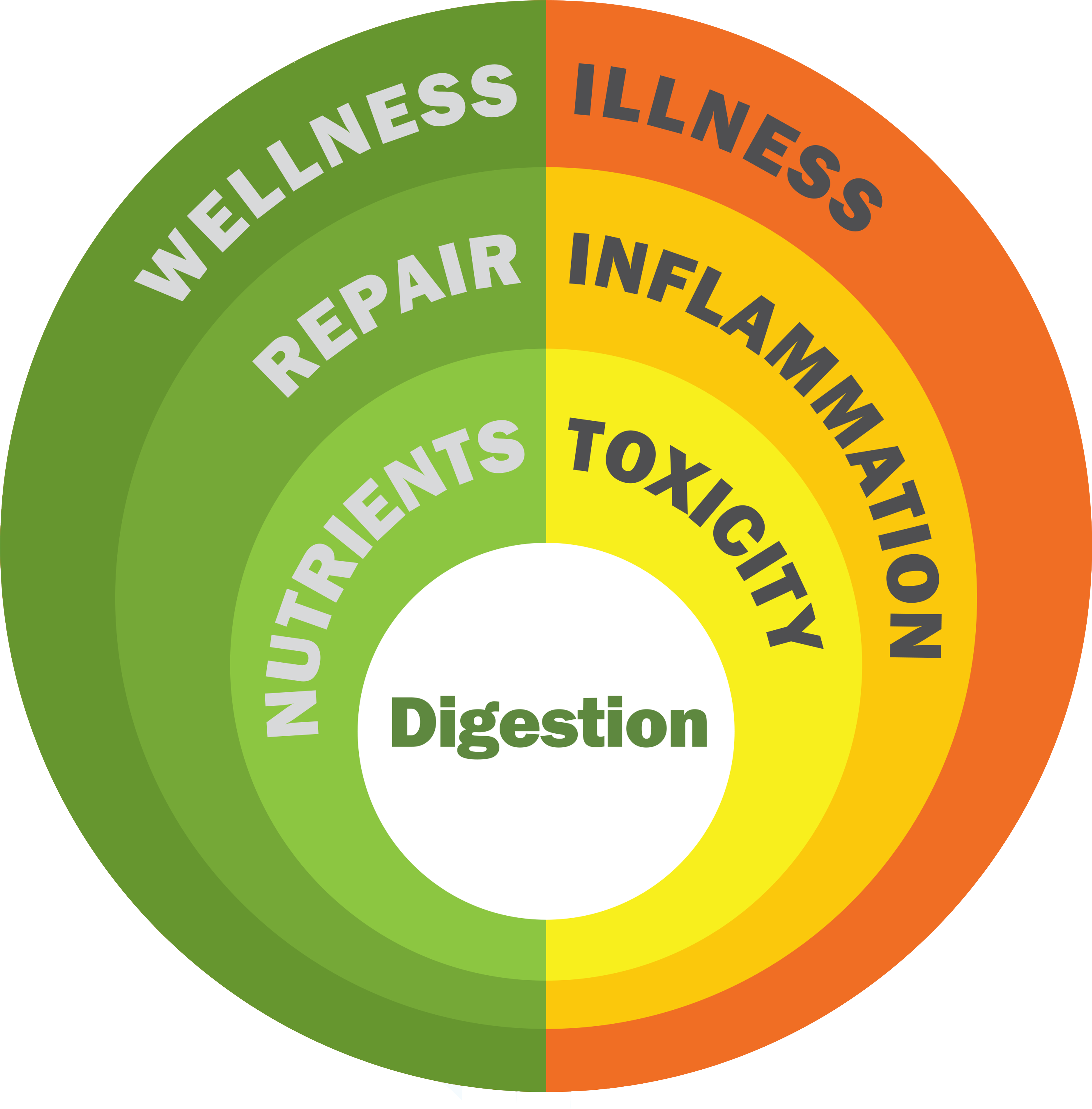 The digestive system is very important to us. Nearly every single aspect of our health and well-being is related to our digestion.